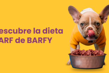 dieta BARF