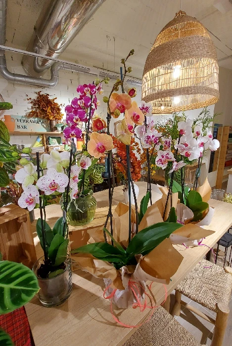 comprar flores en tienda de plantas en Madrid