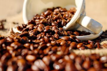 Cafesoy